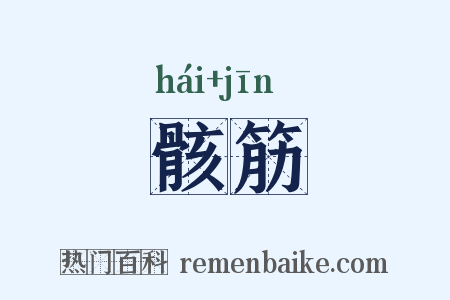 骸筋是什么意思的图片